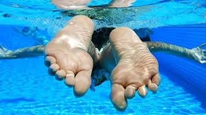 Image / illustration