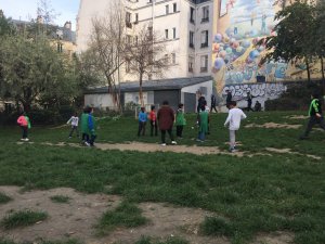 Image / illustration