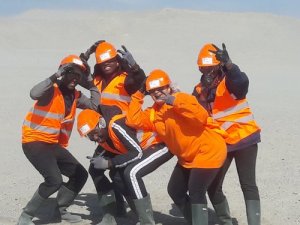 Image / illustration