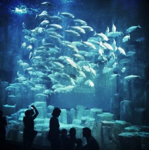 Image / illustration