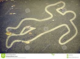 Image / illustration