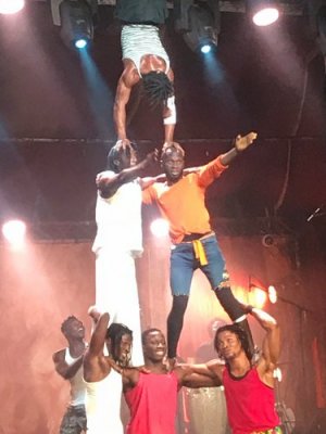 Image / illustration